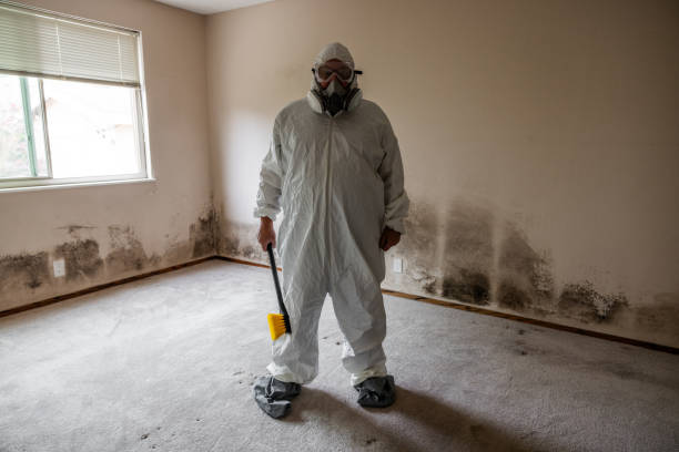 Best Emergency Mold Remediation  in Way, NE